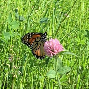 Meet your Posher, Heidi